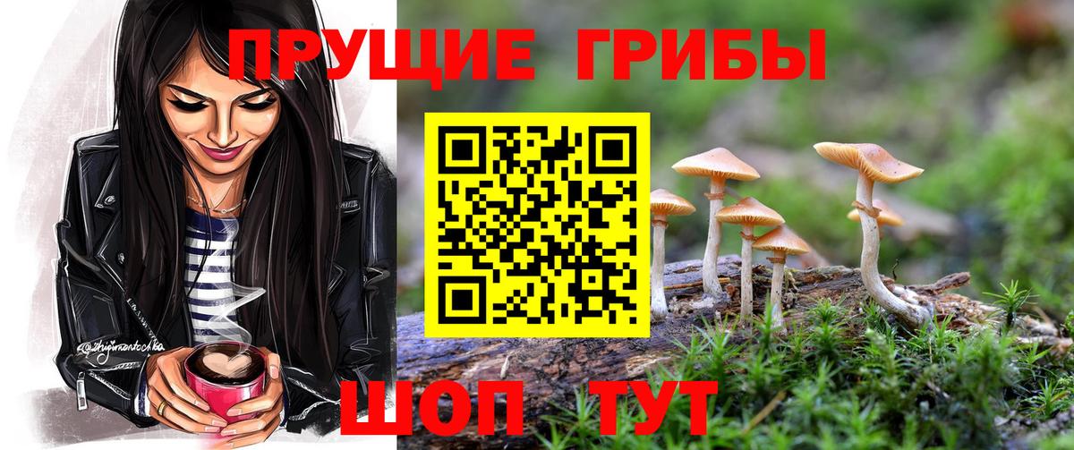Псилоцибиновые грибы Magic Shrooms  Вход с VPN  Александров  Галлюциногенные грибы мицелий 
